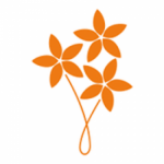 Bouquet Data Analysis