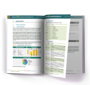 Vibration Monitoring Solutions Snapshot